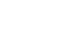 mgtimber logo