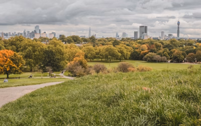 UK’s Best and Worst Areas for Access to Parks Revealed